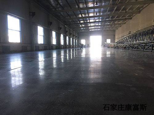 愛郎大體樣貌有標.jpg